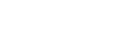 Chauffeur privé Lyon 2